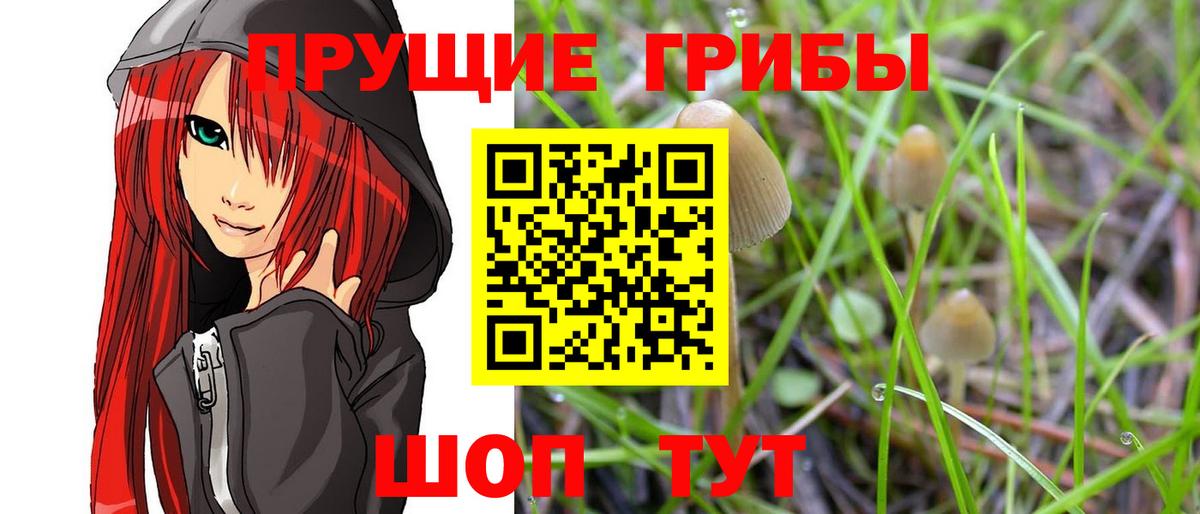 Лыткарино  Галлюциногенные грибы GOLDEN TEACHER  Вход с VPN 